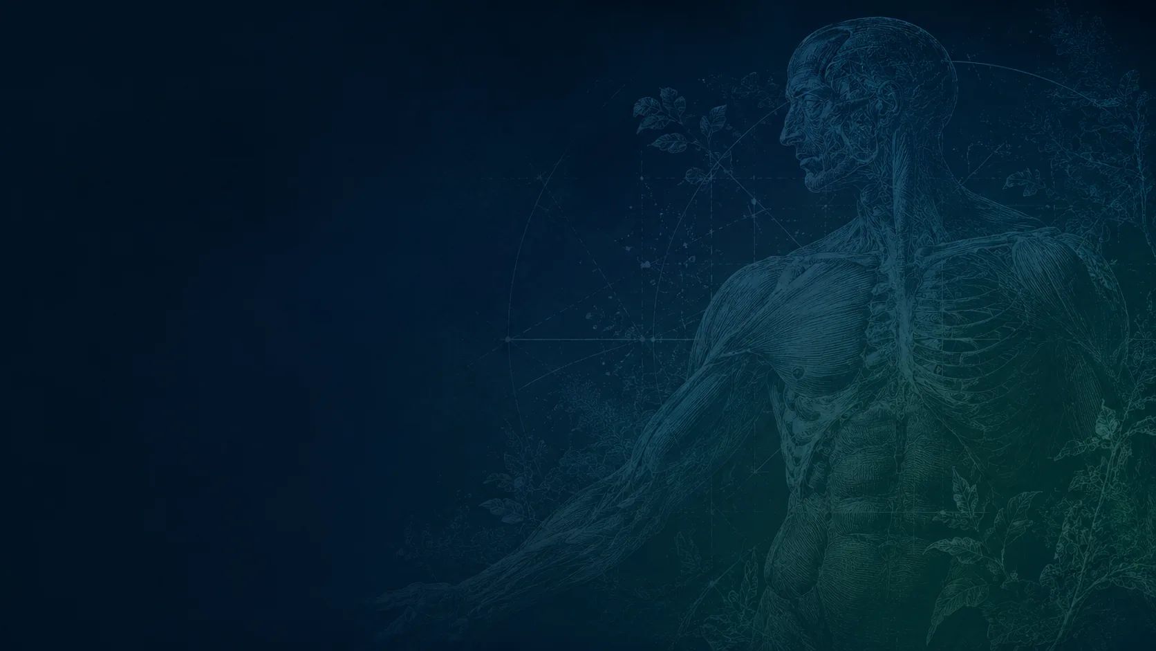 Anatomy-inspired blueprint for medical SEO planning