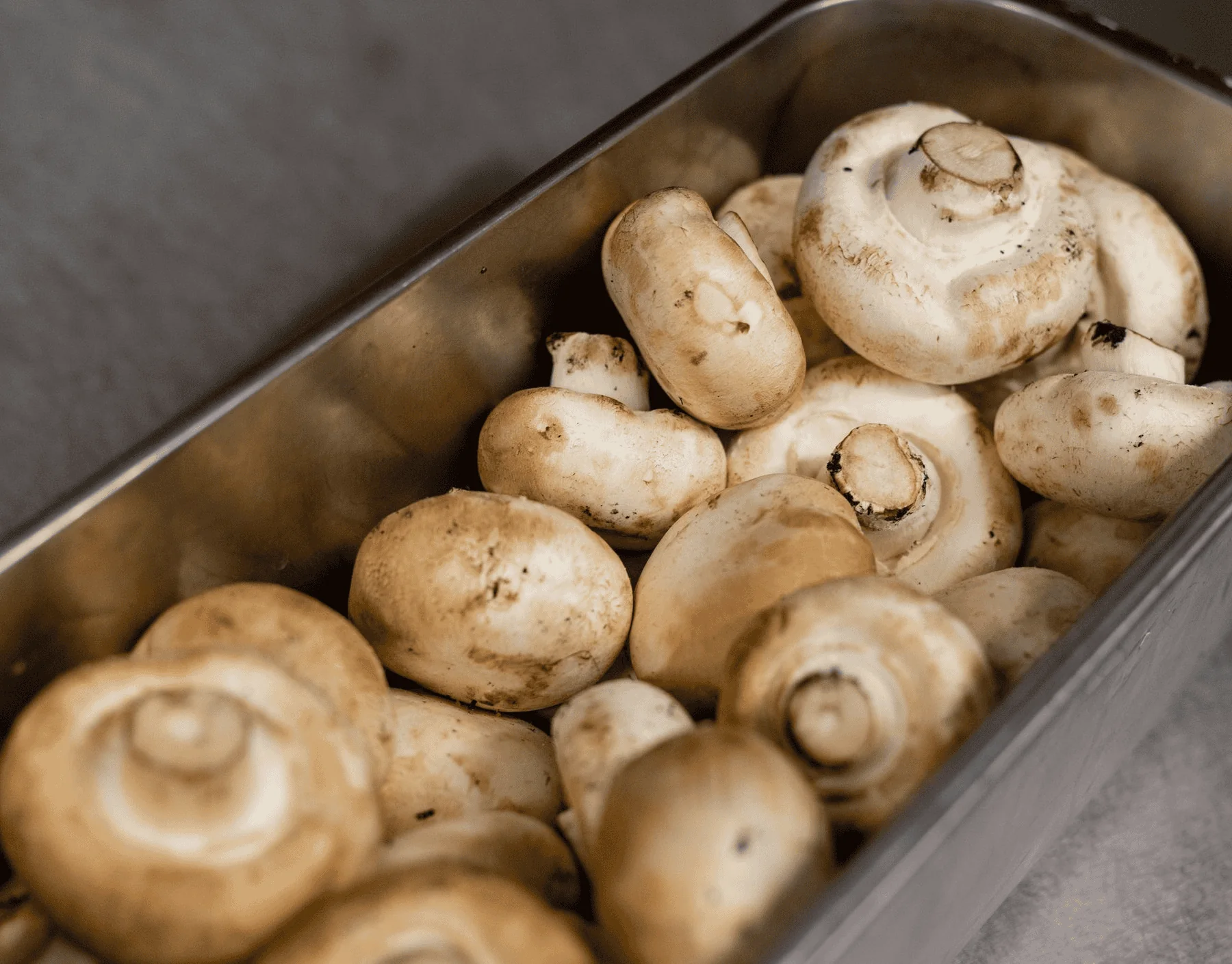 Fresh mushrooms in a harvest tray