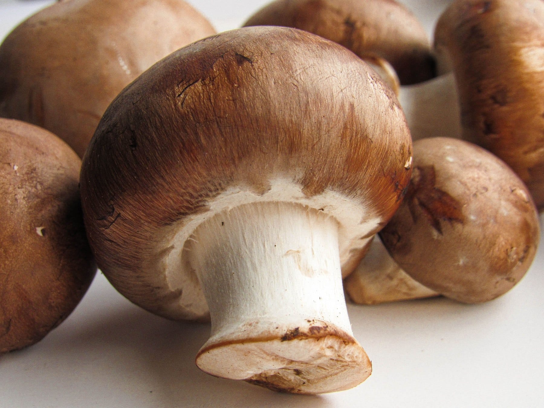 Large premium mushrooms