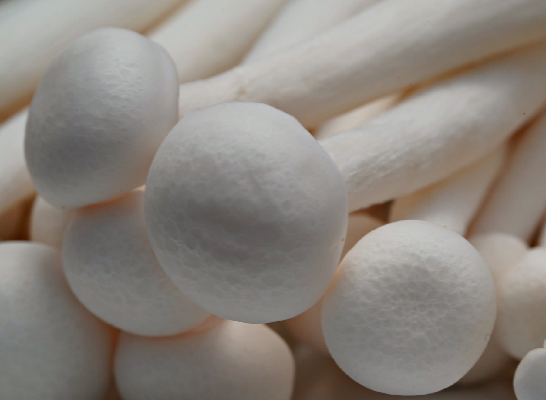 Small white button mushrooms